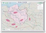 Kryzys i odbudowa państwa Piastów/Polska Piastów (BP)